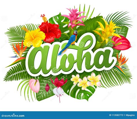 aloha Search